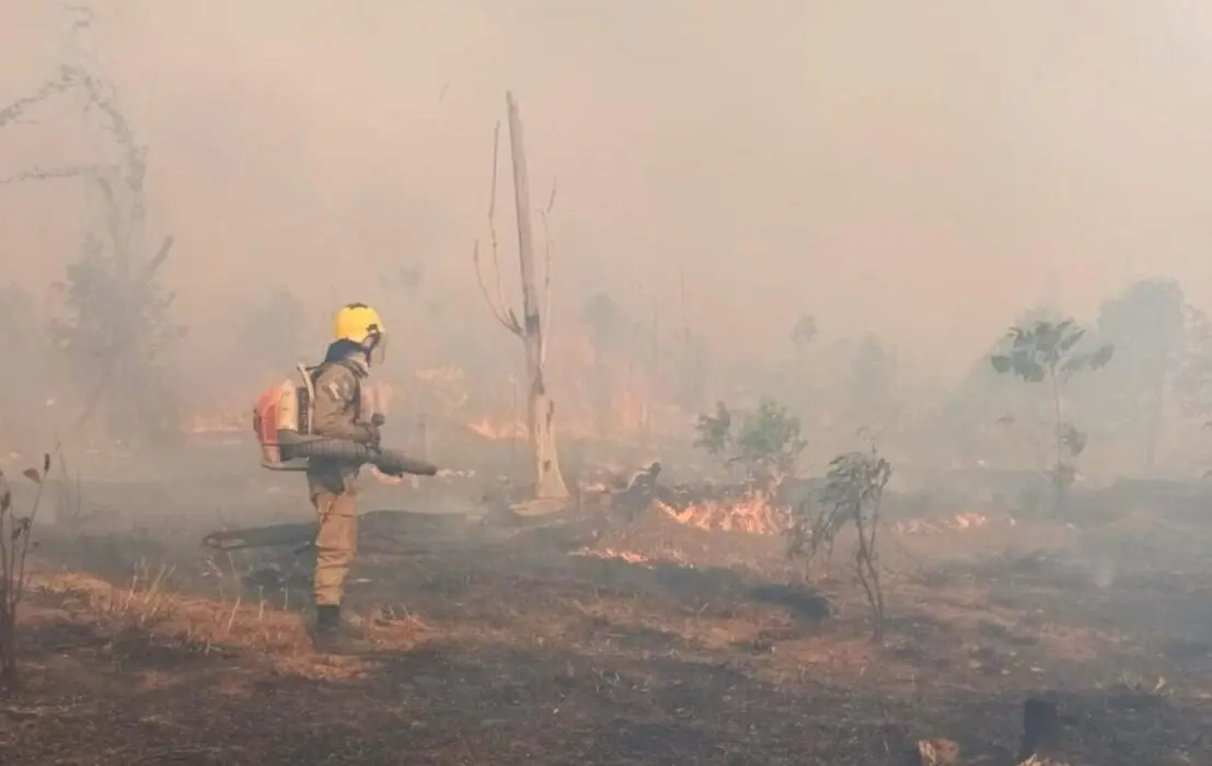 Bombeiros da Operação Aceiro combatem incêndio em área de pasto, no Apui
