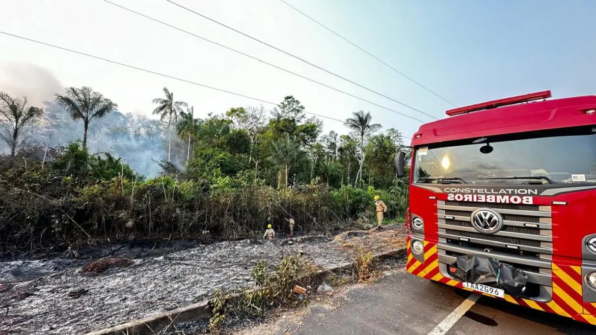 Força-tarefa do Corpo de Bombeiros combate mais de 300 focos de incêndio em 24 horas, em Iranduba