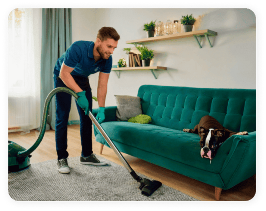 Lares com pets precisam de cuidados especiais na limpeza