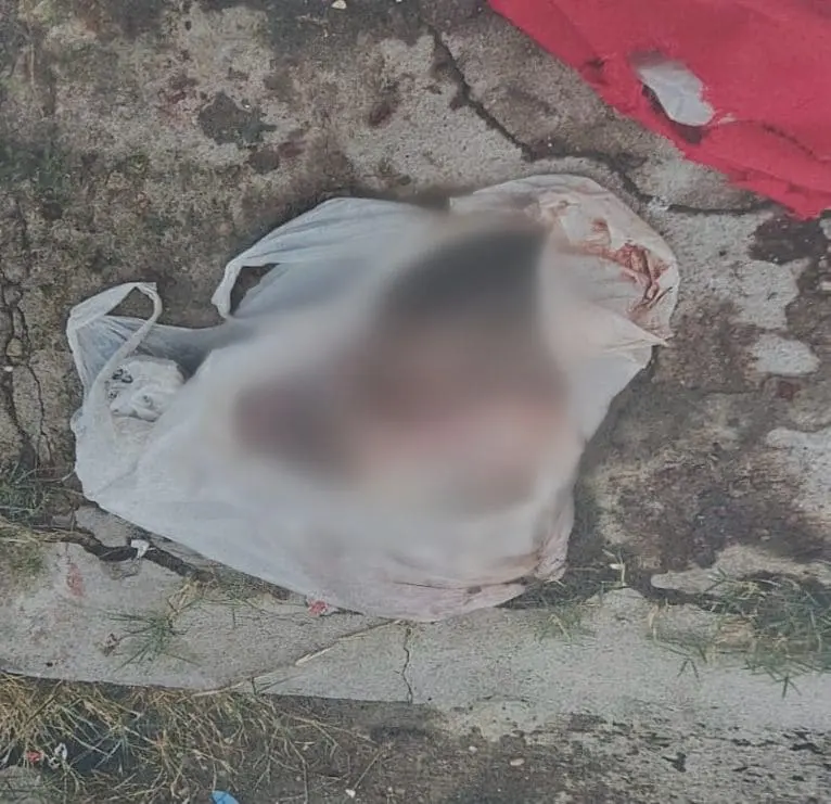 Polícia solicita colaboração para identificar responsável por abandono de um feto na zona norte de Manaus