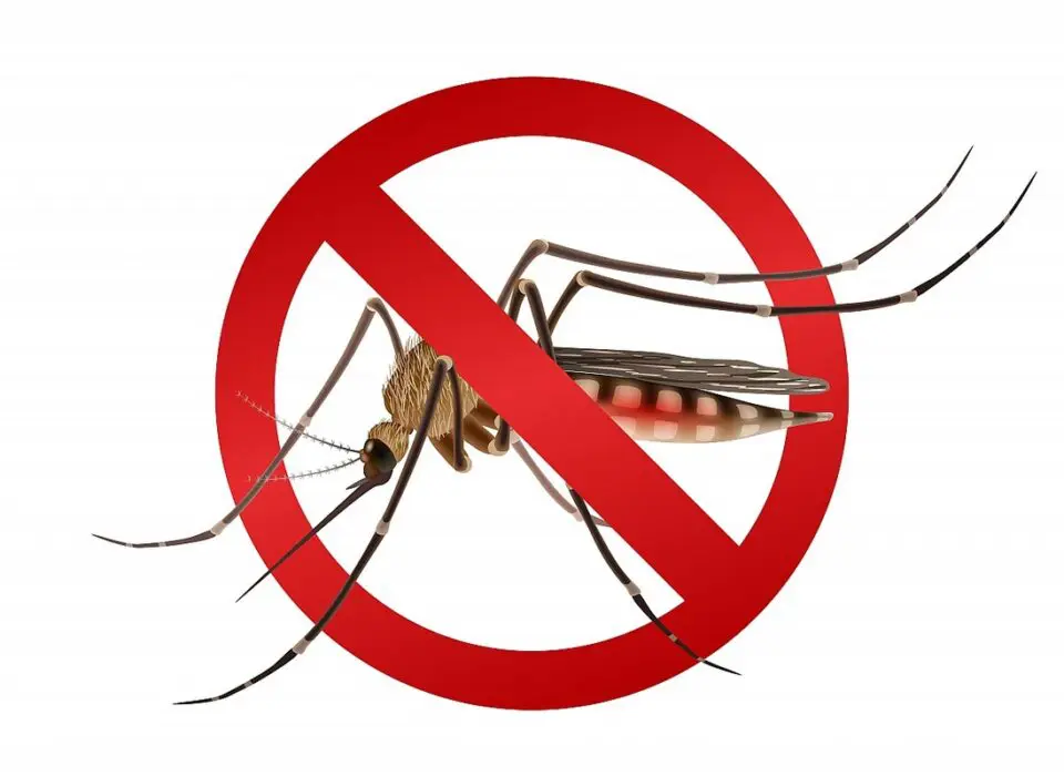 Ministério da Saúde reforça combate à dengue em São Paulo