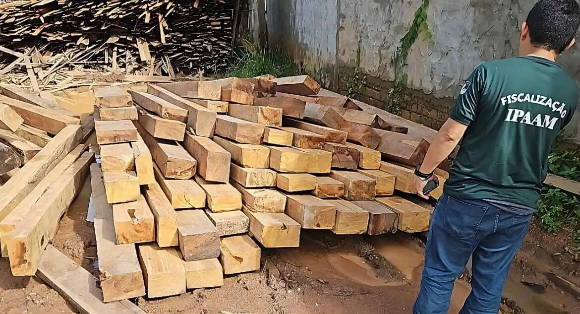 Madeireiras irregulares em Manacapuru são multadas em mais de R$ 1 milhão durante ação do Ipaam e Batalhão Ambiental