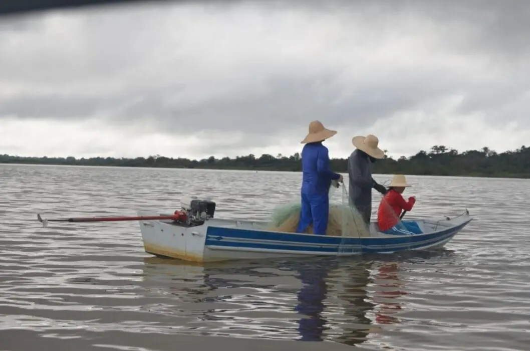 O período de defeso do tambaqui (Colossoma macropomum) no Amazonas, que ocorre anualmente entre 1º de outubro e 31 de março, chega ao fim nesta segunda-feira (31), permitindo que, a partir de 1º de abril, a pesca seja retomada. Essa medida é fundamental para garantir a preservação da espécie, protegendo sua reprodução natural durante os meses de defeso e assegurando a sustentabilidade dos estoques pesqueiros. O período de defeso do tambaqui é válido exclusivamente para a pesca dessa espécie em rios e lagos do Amazonas. Vale destacar que a restrição não afeta a comercialização, o transporte e a pesca de tambaquis originários de viveiros regularizados junto ao Ipaam, que continuam sendo permitidos durante todo o período. O diretor-presidente do Ipaam, Gustavo Picanço, ressaltou que o defeso tem como objetivo proteger o tambaqui durante seu ciclo reprodutivo, evitando a sobrepesca, e garantir que, ao fim do período, as atividades pesqueiras sejam retomadas de forma responsável. Fim do defeso: pesca do tambaqui é liberada a partir de 1º de abril no Amazonas