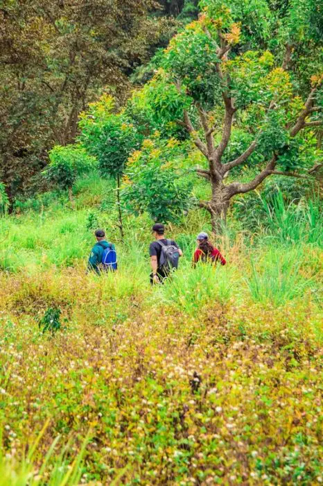 Turismo regenerativo coloca a natureza no centro desta atividade