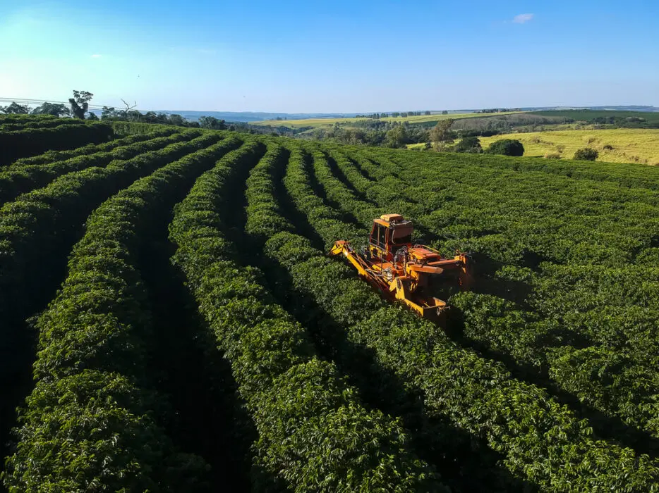 Tarifas de Trump abrem chance ao agro brasileiro