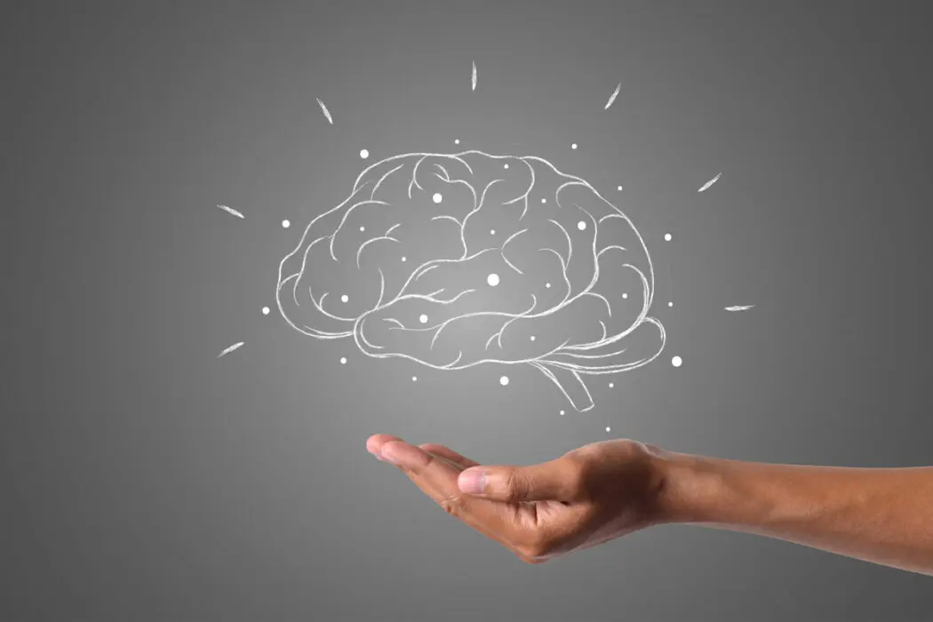 Neurociência ajuda em estratégias para o mundo empresarial
