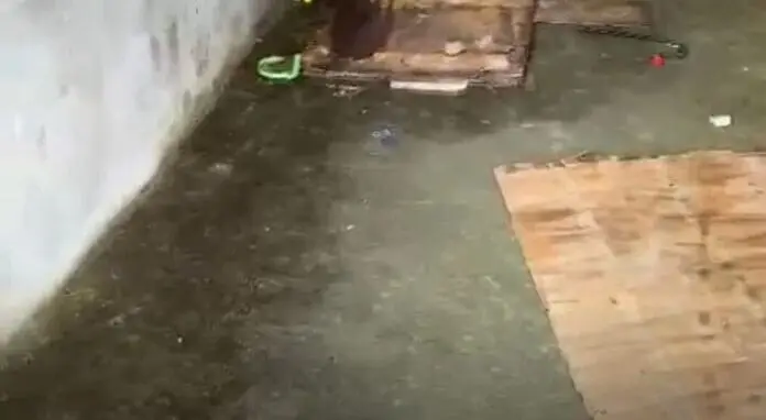 Corp0 é encontrado com pés e mãos am4rrados em Manaus