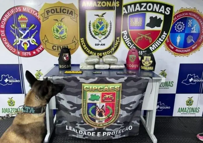 Mulher é presa com drogas avaliadas em R$ 100 mil no interior do AM