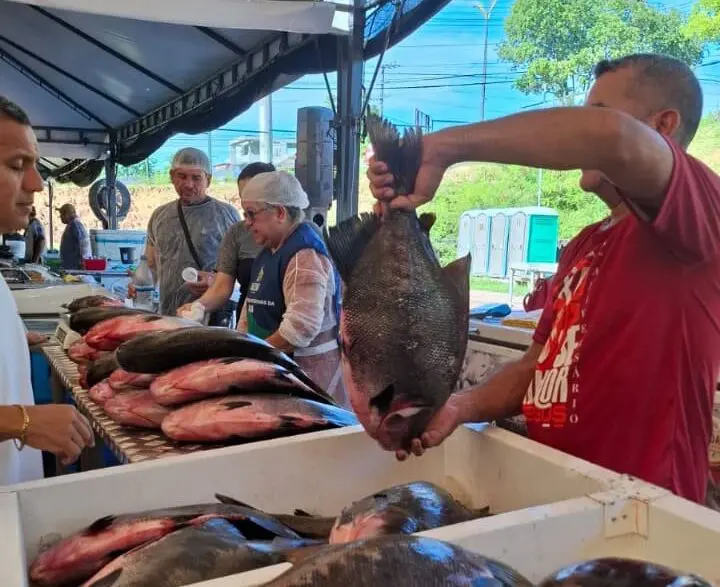 Feirão do Pescado: ADS registra venda de mais de 12 toneladas de peixes no segundo dia do evento