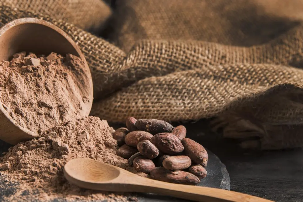 Indústria de cosméticos incorpora ingredientes naturais do cacau em sua produção