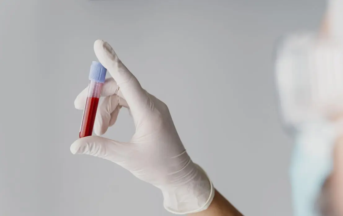 Transplante de medula óssea possibilita cura de 80 doenças