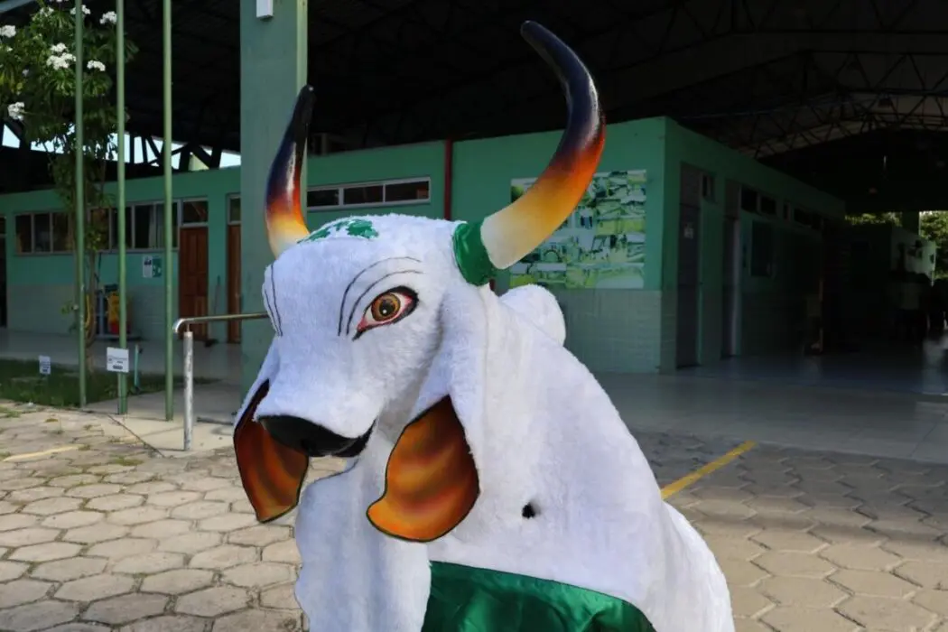 FUnATI aproxima idosos da cultura regional com escolha do nome do boi-bumbá da instituição
