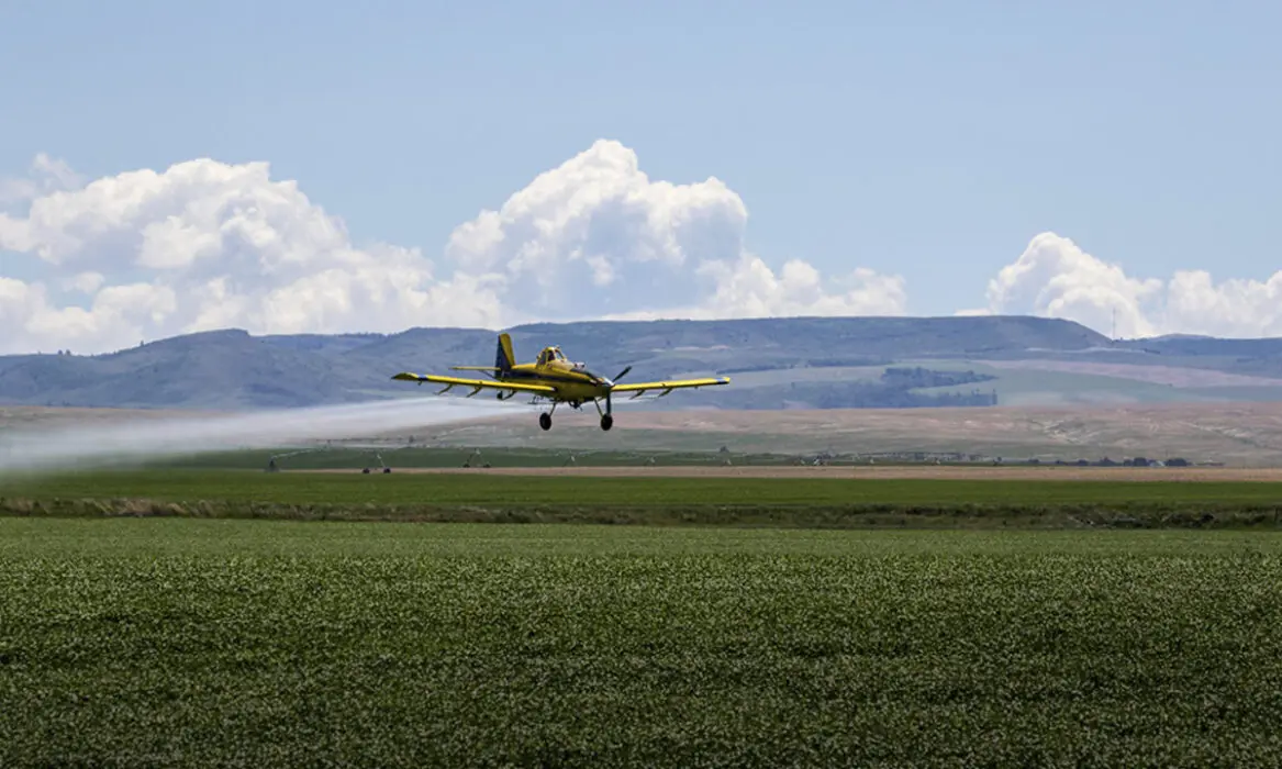 Empresa participa da Bahia Farm Show 2025