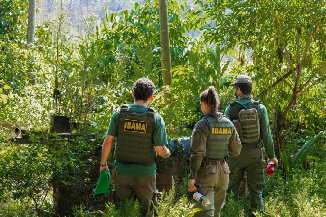 Ibama recebe maior investimento do Fundo Amazônia para fortalecer fiscalização ambiental na Amazônia Legal