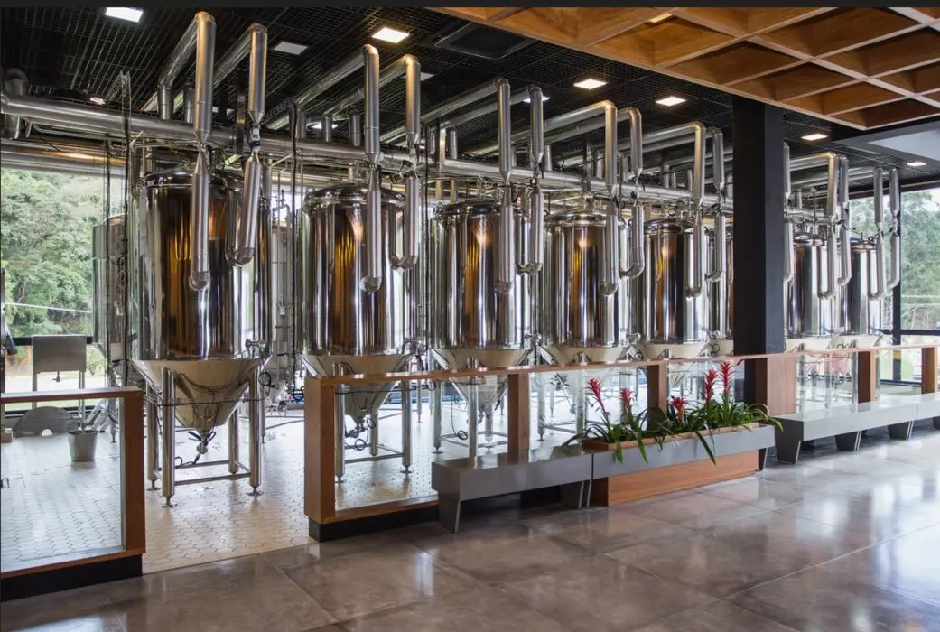 Novo site de empresa de bebidas é criado por jovens talentos
