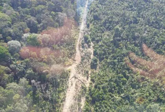 Justiça Federal derruba suspensão de licitação e libera obras na BR-319