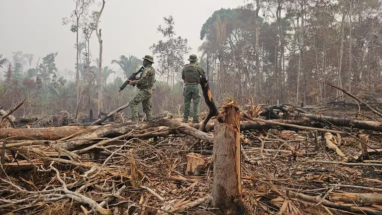 Ibama aplica R$ 173 milhões em multas por desmatamentos equivalentes a 26 mil campos de futebol em Apuí-AM