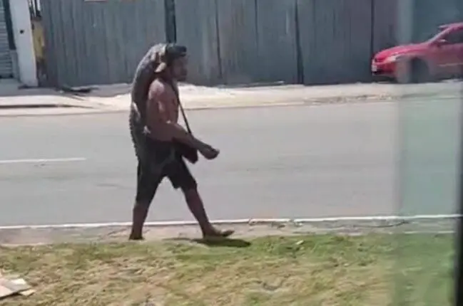 Vídeo: Homem é flagrado carregando um filhote de jacaré no ombro em avenida de Manaus 
