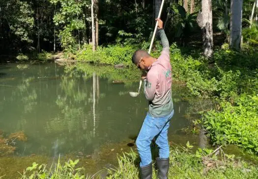 Governo do Amazonas apoia pesquisa sobre óleos essenciais extraídos de plantas amazônicas como bioinseticidas