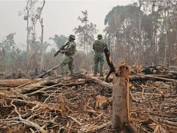 IBAMA vistoria área de proteção ambiental em Manaus