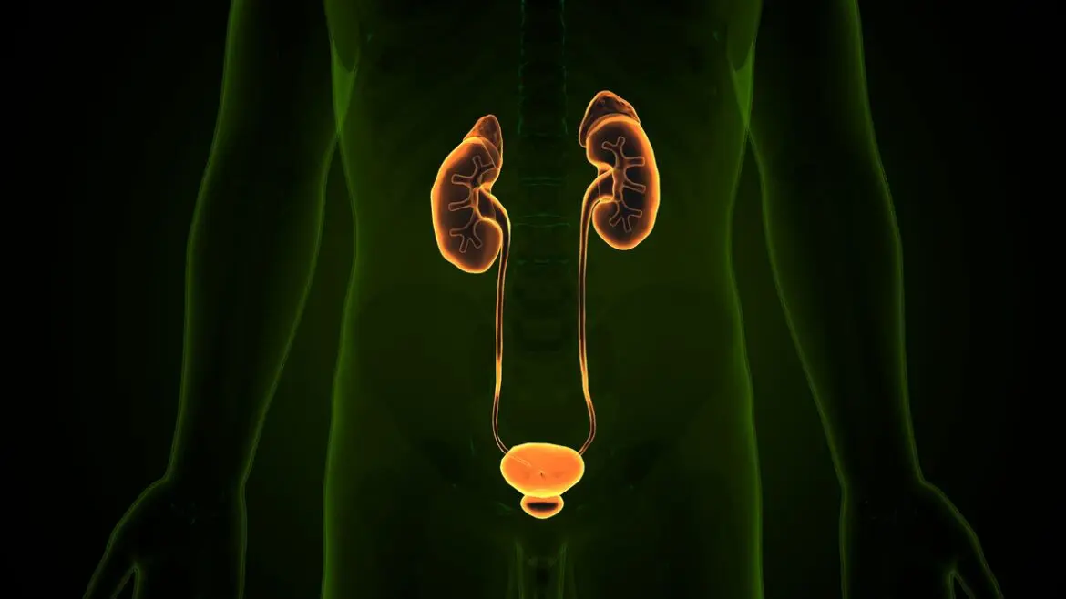 Tecnologia transforma tratamentos na urologia moderna