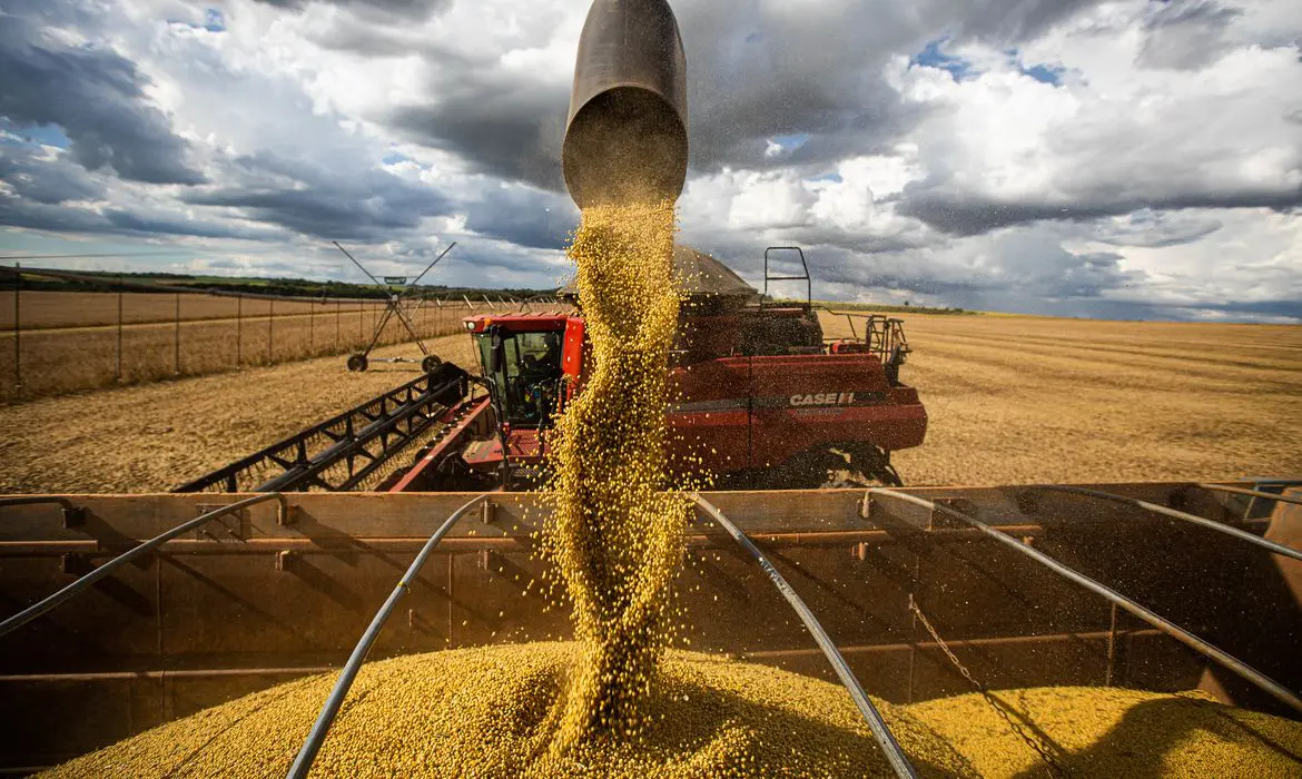 Queda no preço dos alimentos vai permanecer, diz ministro