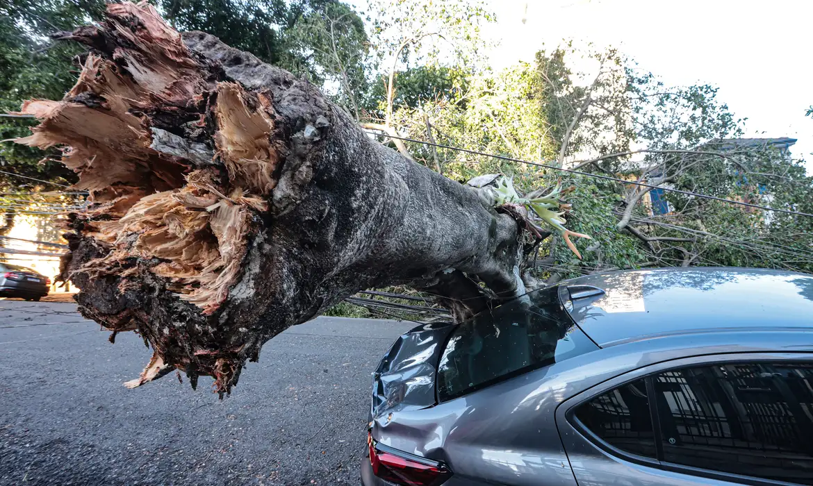 São Paulo enfrenta ventos de quase 100 km/h nesta quarta-feira