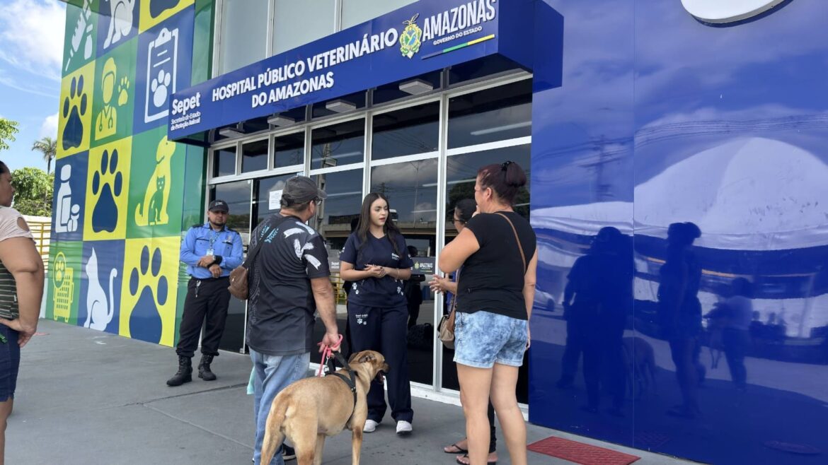 Hospital Público Veterinário ultrapassa 127 mil procedimentos em três meses de funcionamento