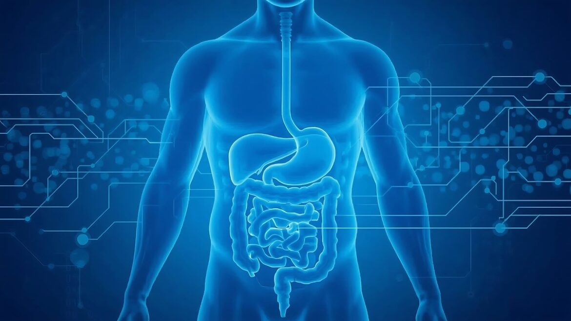 Tecnologia inova cura de doenças abdominais e metabólicas