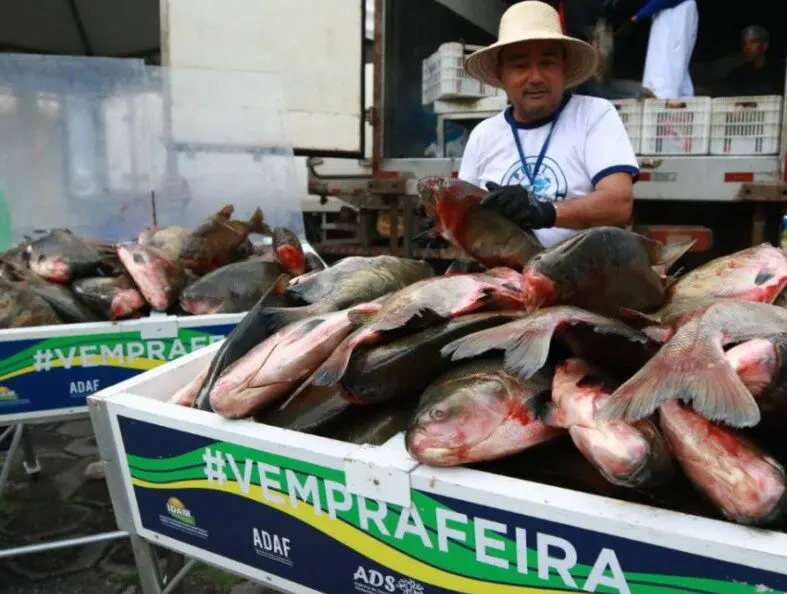 Feira da ADS no Shopping Ponta Negra é opção para quem busca pescado durante a Quaresma