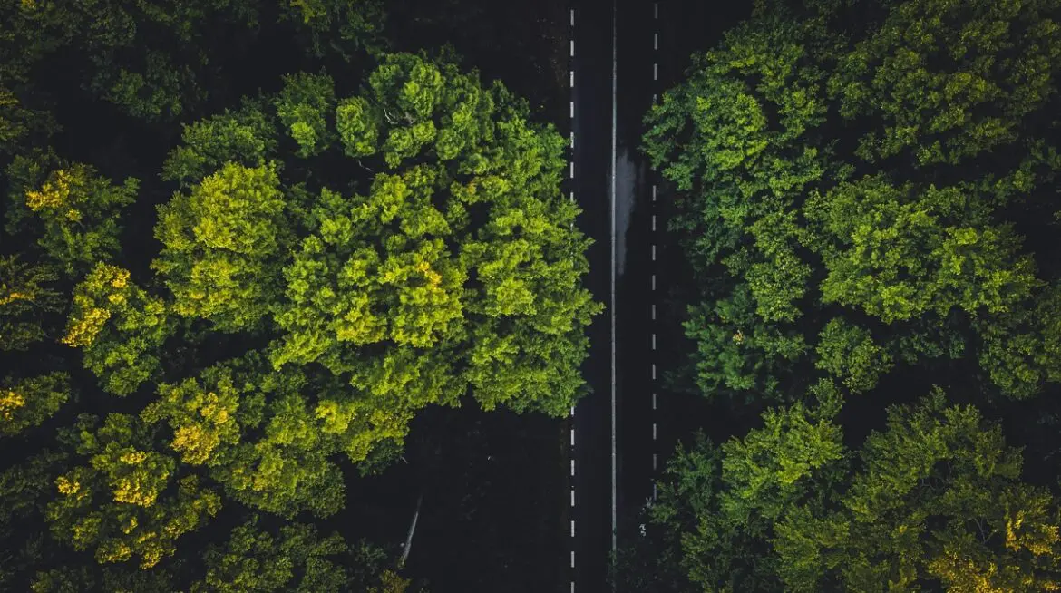 Empresas se adaptam às novas exigências de sustentabilidade