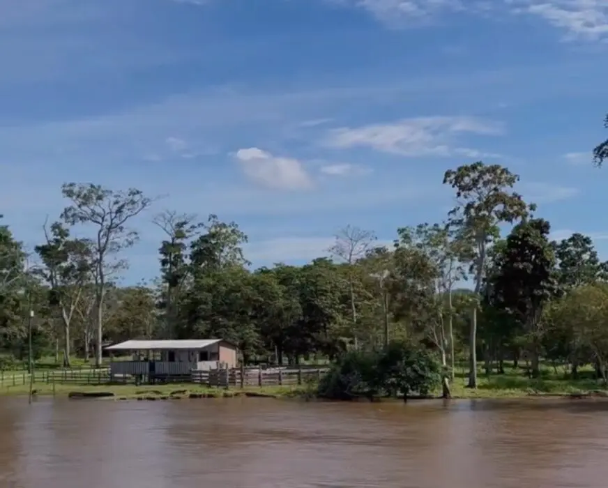 Dia Internacional das Florestas e da Árvore: futuro sustentável depende da colaboração internacional para preservação das áreas verdes