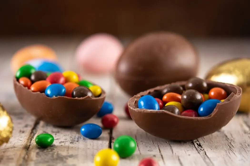 Chocolate é altamente tóxico para os cães