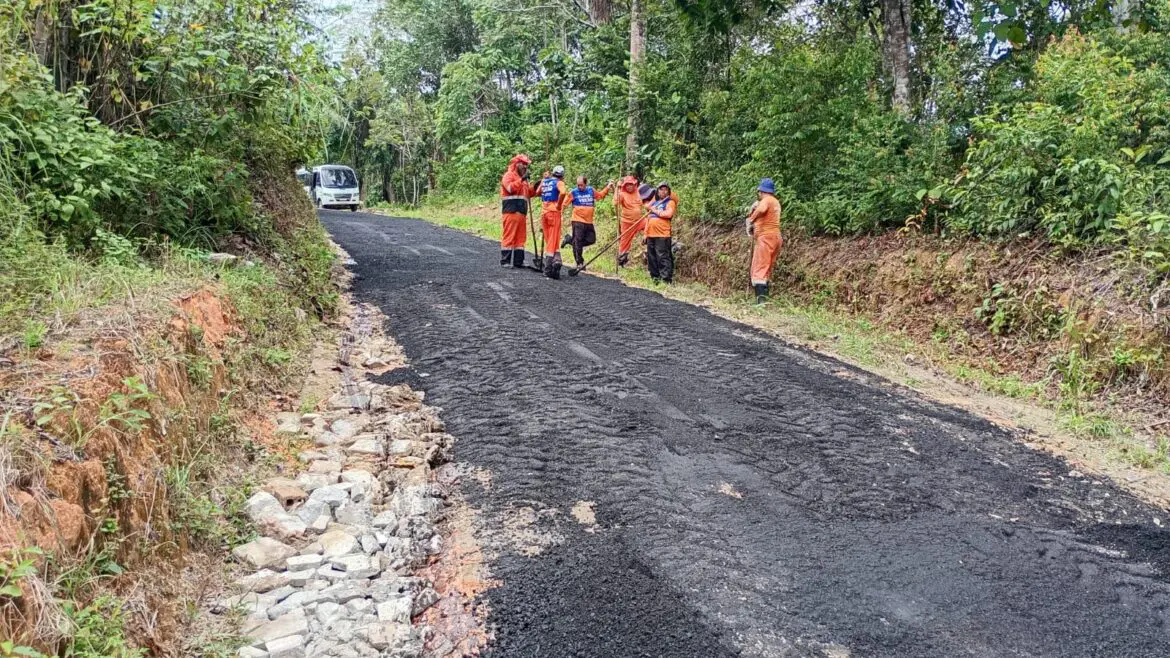 Pavimentação