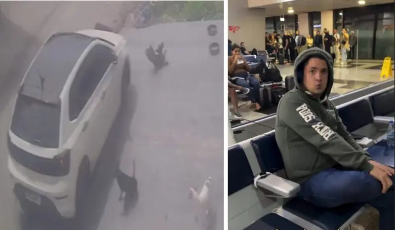 Vídeo: homem suspeito de atropelar cães no Parque Dez é detido no aeroporto de Manaus