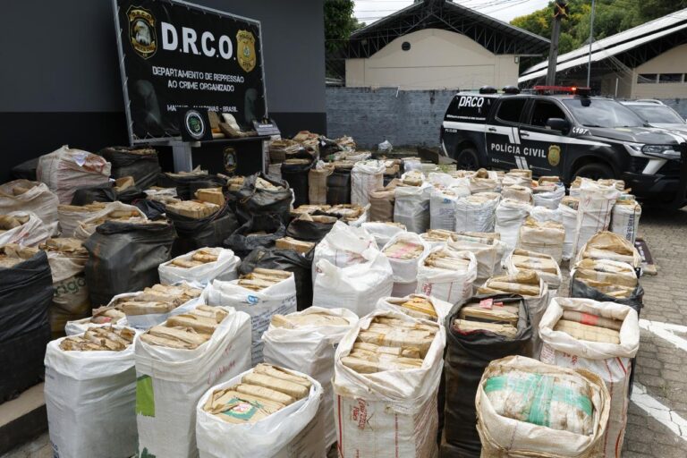 Polícia Civil apreende mais de 6 toneladas de drogas no primeiro semestre de 2026