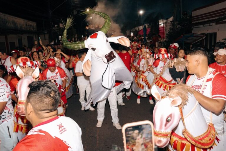 Garantido leva multidão às ruas e celebra a tradicional Matança do Boi na Baixa da Xanda
