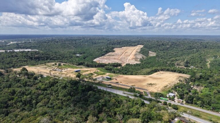Árvores ajudam a enfrentar as altas temperaturas do Verão Amazônico