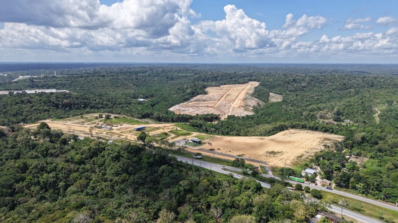 Árvores ajudam a enfrentar as altas temperaturas do Verão Amazônico