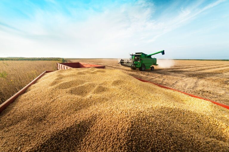 Grupo do agro aprova recuperação judicial com deságio de 85%