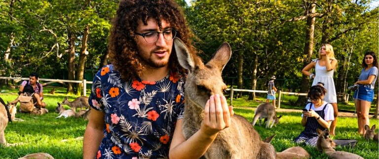 Inglês + voluntariado: experiência que fortalece causas