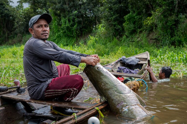 Rodada de Negócios do Pirarucu conecta comunidades ribeirinhas da Amazônia a empresas em Tefé (AM), no dia 27