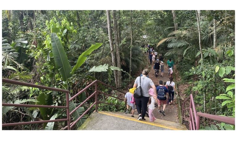 UFAM e INPA realizam oficinas gratuitas do Projeto "EcoInfluenciadores" de divulgação científica ambiental no Bosque da Ciência