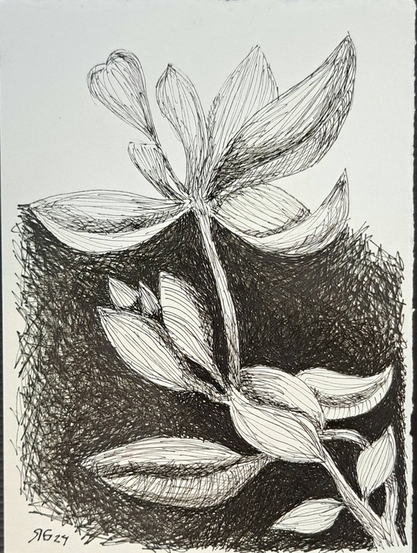 Exposição “UNA”, de Roberto Galvão, reúne obras em Fortaleza