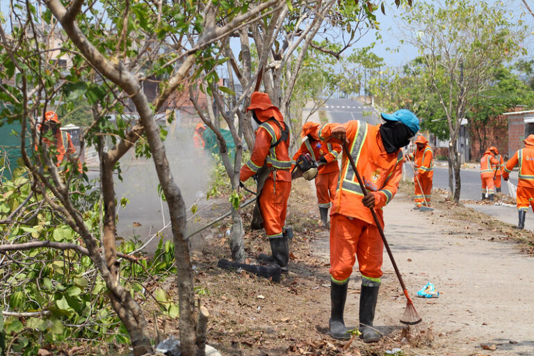 Viver Melhor recebe serviços de varrição, raspagem e poda de árvores em Manaus