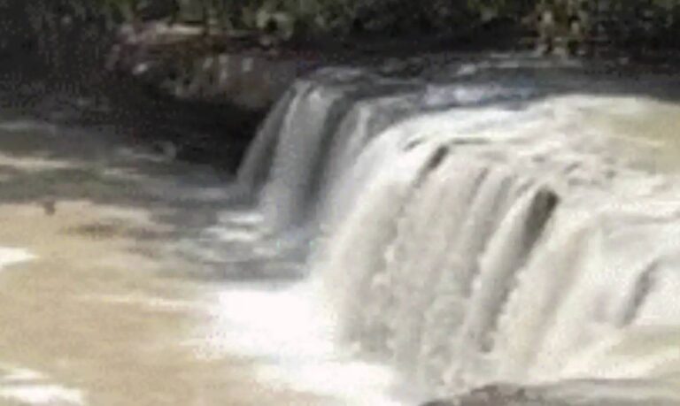 Cachoeira Natal amanhece com água barrenta e possível dano ambiental é investigado em Presidente Figueiredo
