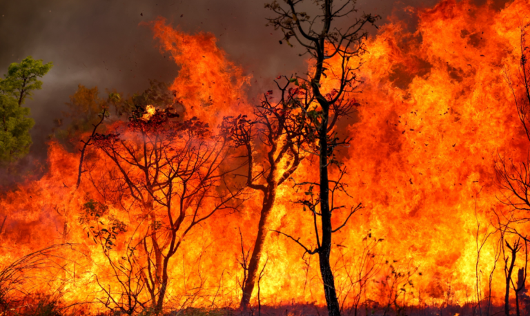 MPAM aciona Justiça por falta de estrutura para prevenção e combate a incêndios em Juruá