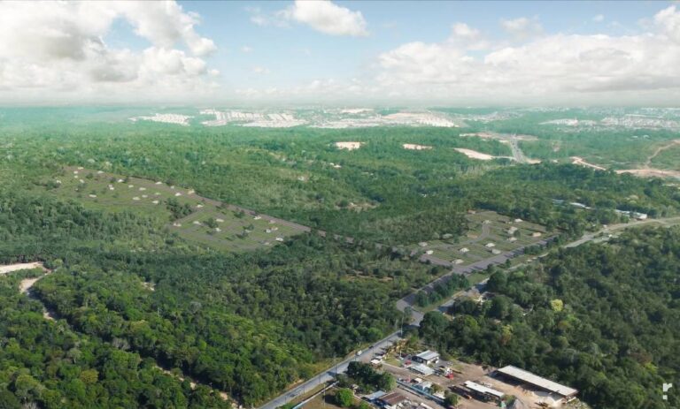 Dia da Árvore: arborização reduz calor e aumenta umidade do ar em Manaus