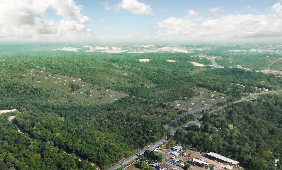 Dia da Árvore: arborização reduz calor e aumenta umidade do ar em Manaus