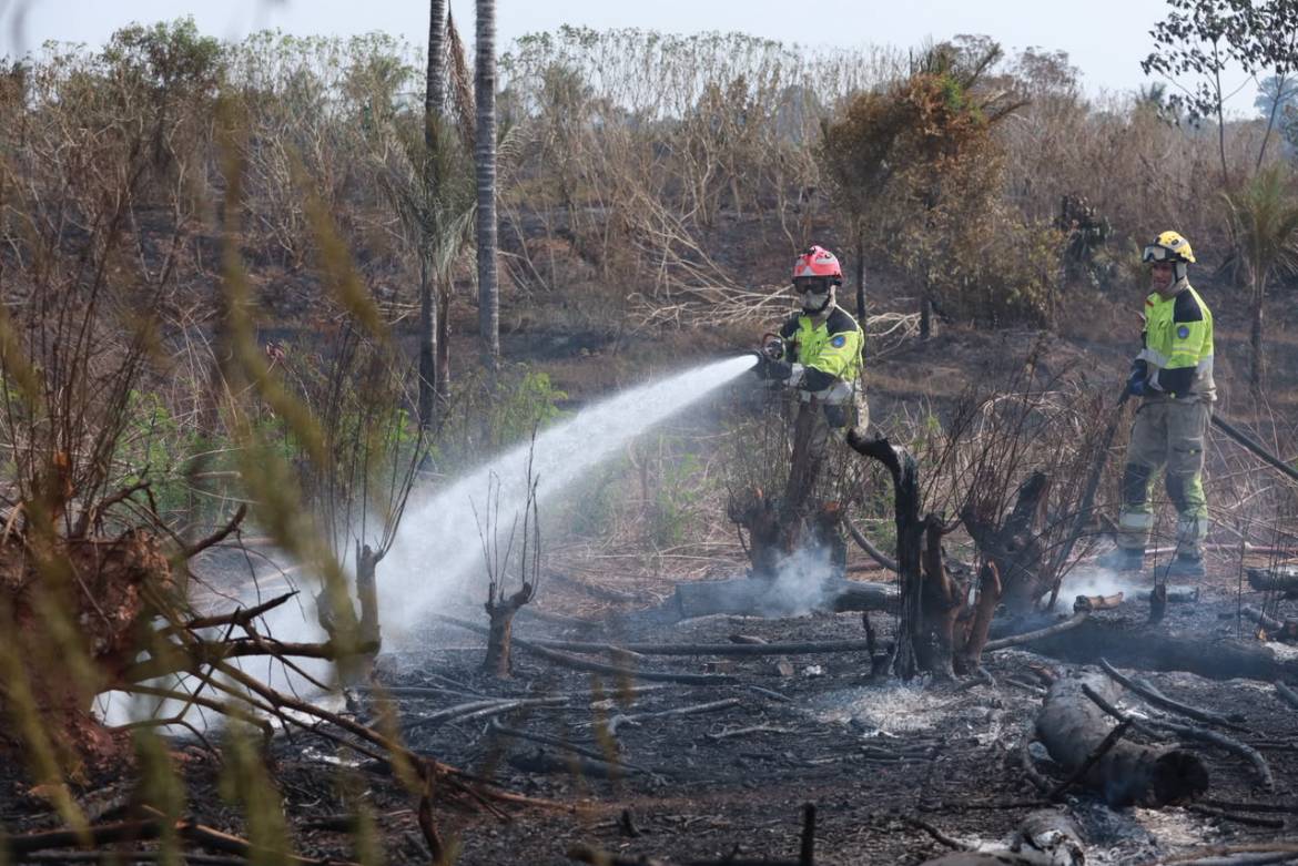 Governo do Amazonas pede apoio federal para combater incêndios com envio de aeronaves